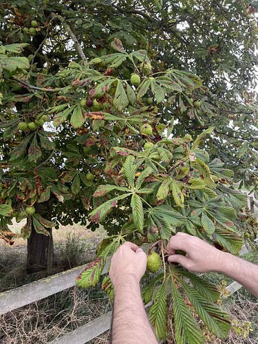 overview_image_100017537_397344